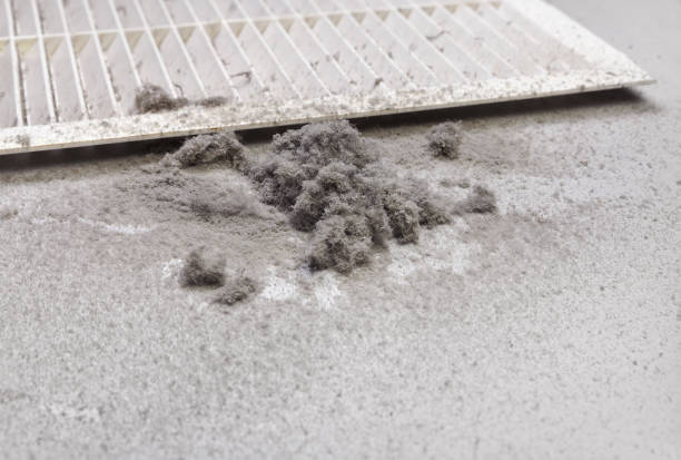 Best Air Duct Cleaning Near Me  in Seymour, TX