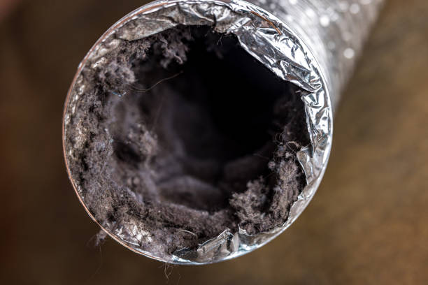 Best Dryer Vent Cleaning Services  in Seymour, TX
